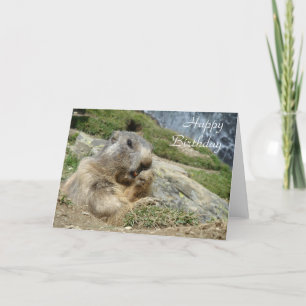 Cartão de aniversário da marmota