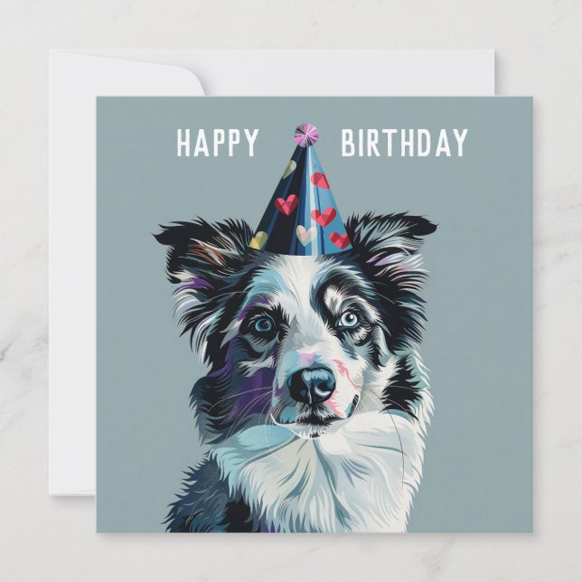 Cartão de aniversário da Merle Border Collie (Frente)