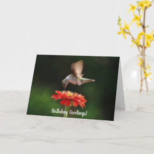 Cartão de Aniversário da Natureza com Beija-flor e