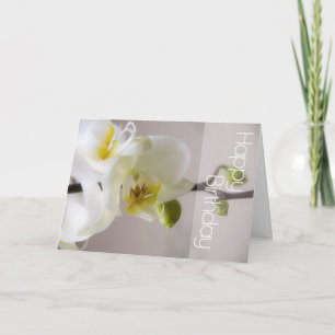 Cartão de Aniversário da Orquídea Branca