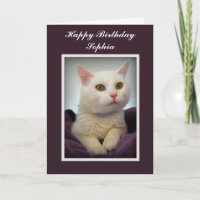 Cartão de aniversário da Sophia com gato branco