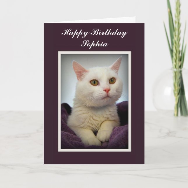 Cartão de aniversário da Sophia com gato branco (Frente)