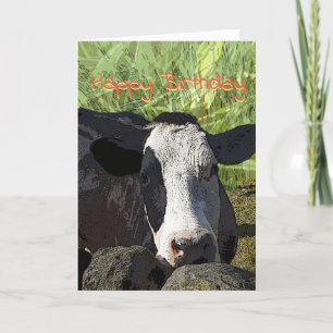 Cartão de aniversário da vaca