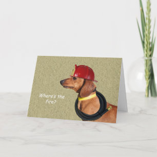 Cartão de Aniversário Dachshund por Foco para uma 