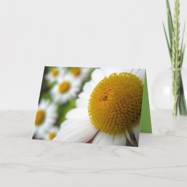 Cartão de Aniversário Daisy (Frente)