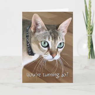 Cartão de Aniversário de 40 anos do Gato Curioso