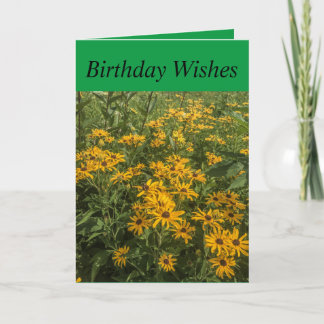 Cartão de aniversário de 5"x7"