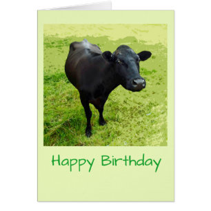 Cartão de aniversário de Aberdeen Angus
