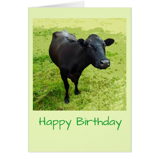 Cartão de aniversário de Aberdeen Angus (Frente)