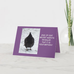 Cartão de aniversário de agente secreto frango