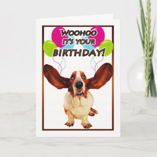 cartão de aniversário de basset hound - woohoo é s