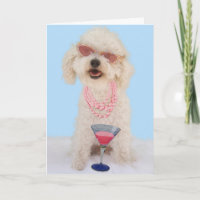 Cartão de aniversário de Bichon Frise pelo foco