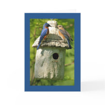 cartão de aniversário de bluebird