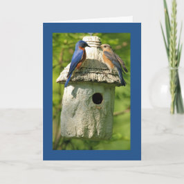 cartão de aniversário de bluebird