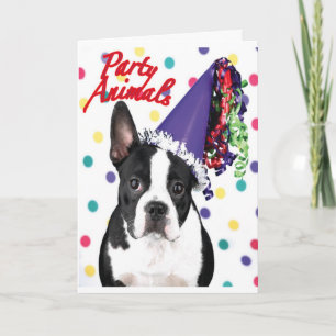 Cartão de Aniversário de Boston Terrier