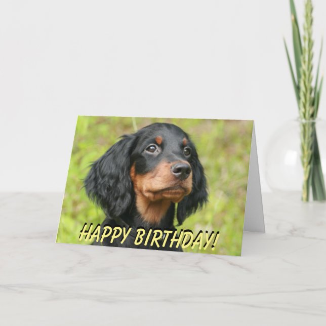 Cartão de aniversário de cachorrinho Gordon Setter (Frente)