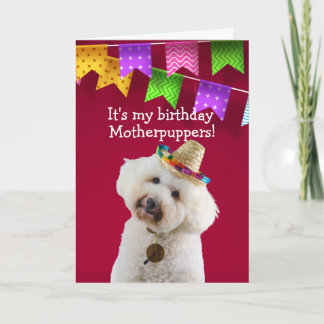 Cartão de aniversário de cachorro Engraçado