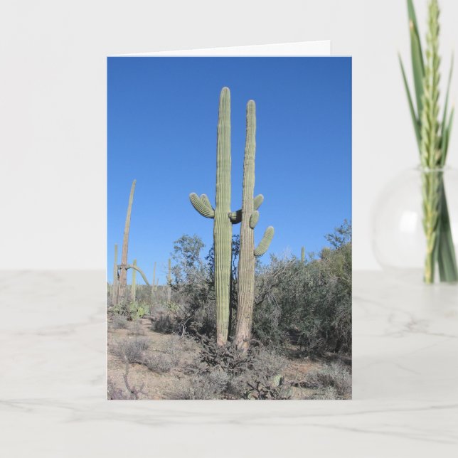 Cartão de Aniversário de Cactus Engraçado (Frente)