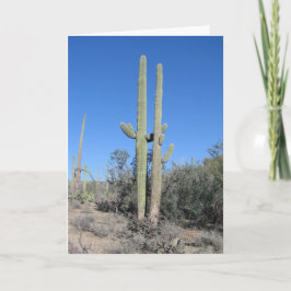 Cartão de Aniversário de Cactus Engraçado