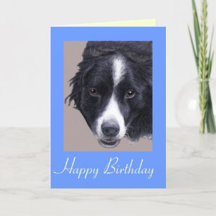 cartão de aniversário de cão collie