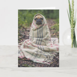 CARTÃO DE ANIVERSÁRIO DE CÃO PUG
