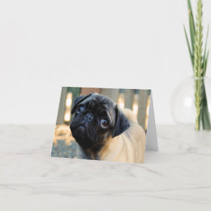 Cartão de Aniversário de Cãozinho