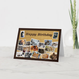 Cartão de Aniversário de Cat