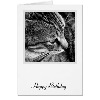Cartão de Aniversário de Cat