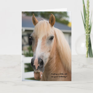 Cartão de Aniversário de Cavalo Engraçado sobre En