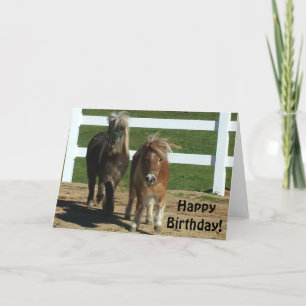 Cartão de Aniversário de Cavalo Miniatura Bonito