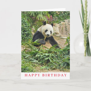 Cartão de aniversário de comer panda bonito