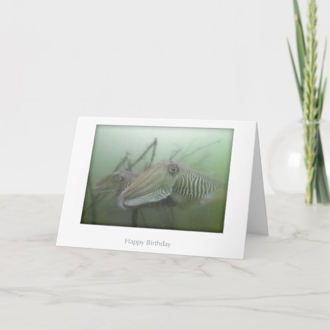 Cartão de Aniversário de Cuttlefish (Frente)