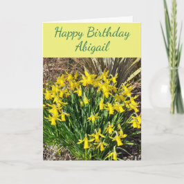 Cartão de Aniversário de Daffodils Amarelo primave