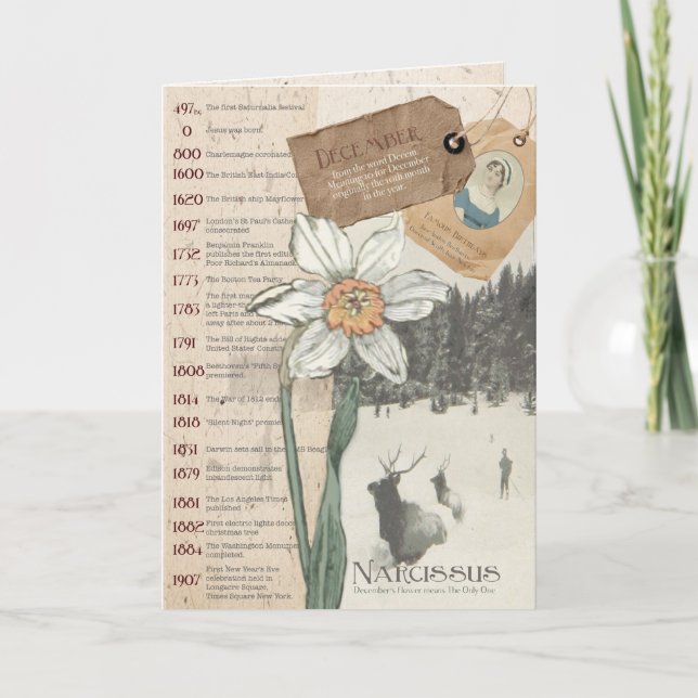 Cartão de Aniversário de Dezembro Narciso (Frente)