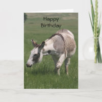 Cartão de Aniversário de Donkey