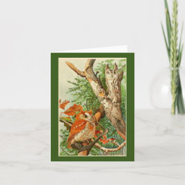 Cartão de Aniversário de Duas Corujas