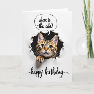 Cartão de Aniversário de Felino Curioso