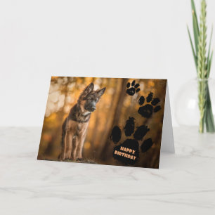 Cartão de aniversário de filhote de german shepher