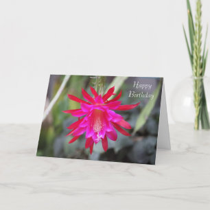 Cartão de Aniversário de Flor Cactus