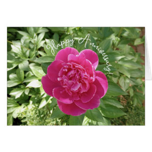 Cartão de Aniversário de Flor de Peônia Rosa Vibra