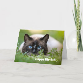 Cartão de Aniversário de Foto de Gato Simã