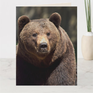 CARTÃO DE ANIVERSÁRIO DE FOTOGRAFIA DE URSO CINZEN