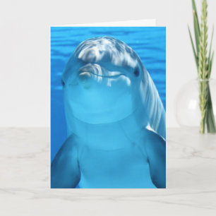 CARTÃO DE ANIVERSÁRIO DE FOTOGRAFIA DO DOLPHIN