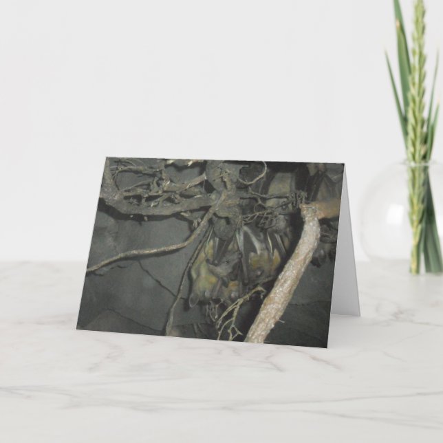 Cartão de aniversário de "Frutas" (Frente)