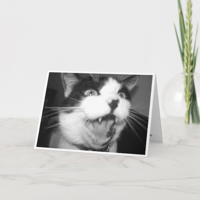 Cartão de aniversário de Gatinho de ópera (Frente)