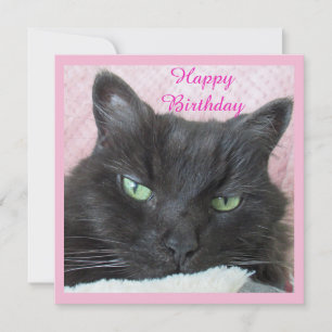 Cartão de Aniversário de Gato