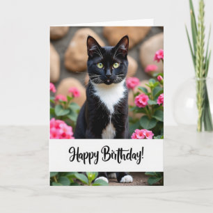 Cartão de Aniversário de Gato Bicolor Alegre