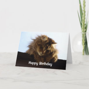 Cartão de Aniversário de Gato de Cabelo Longo