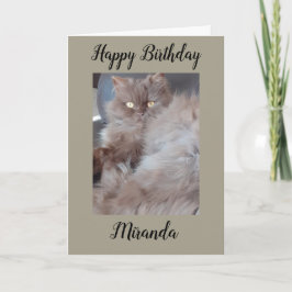Cartão de Aniversário de Gato do fofinho