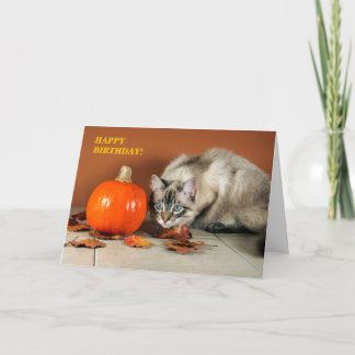 Cartão de Aniversário de Gato e Abóbora